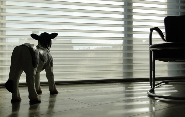 Designkeuken ontwerp keuken